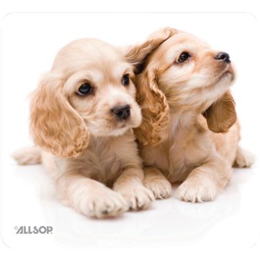 NATURE SMART ALLSOP MOUSEPAD - PUPPY DESIGN