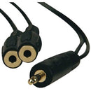 TRIPP LITE MODEL: P313-001 3.5mm STEREO Y CABLE (3.5mm Male to 3.5mm Female) 1ft