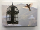 “House Finch Freedom” Artistic photo on canvas, LaurelAvalon collection.